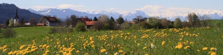 l_4864.11f0b96e263b52e3110d4dedd7263c55